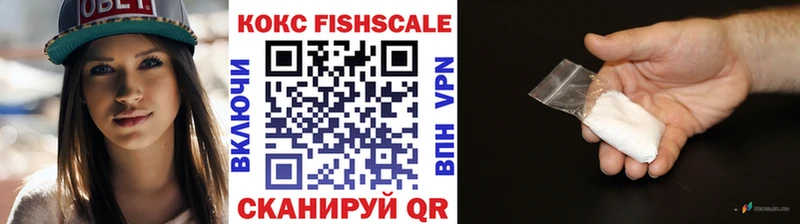 COCAIN Fish Scale  ссылка на мегу tor  Барабинск 