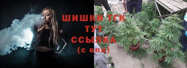 бошки Аркадак