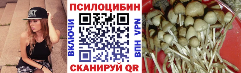 Галлюциногенные грибы MAGIC MUSHROOMS  наркота  сайты даркнета как зайти  Барабинск 