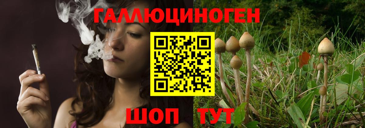 Псилоцибиновые грибы GOLDEN TEACHER  Вход с VPN  Барабинск 
